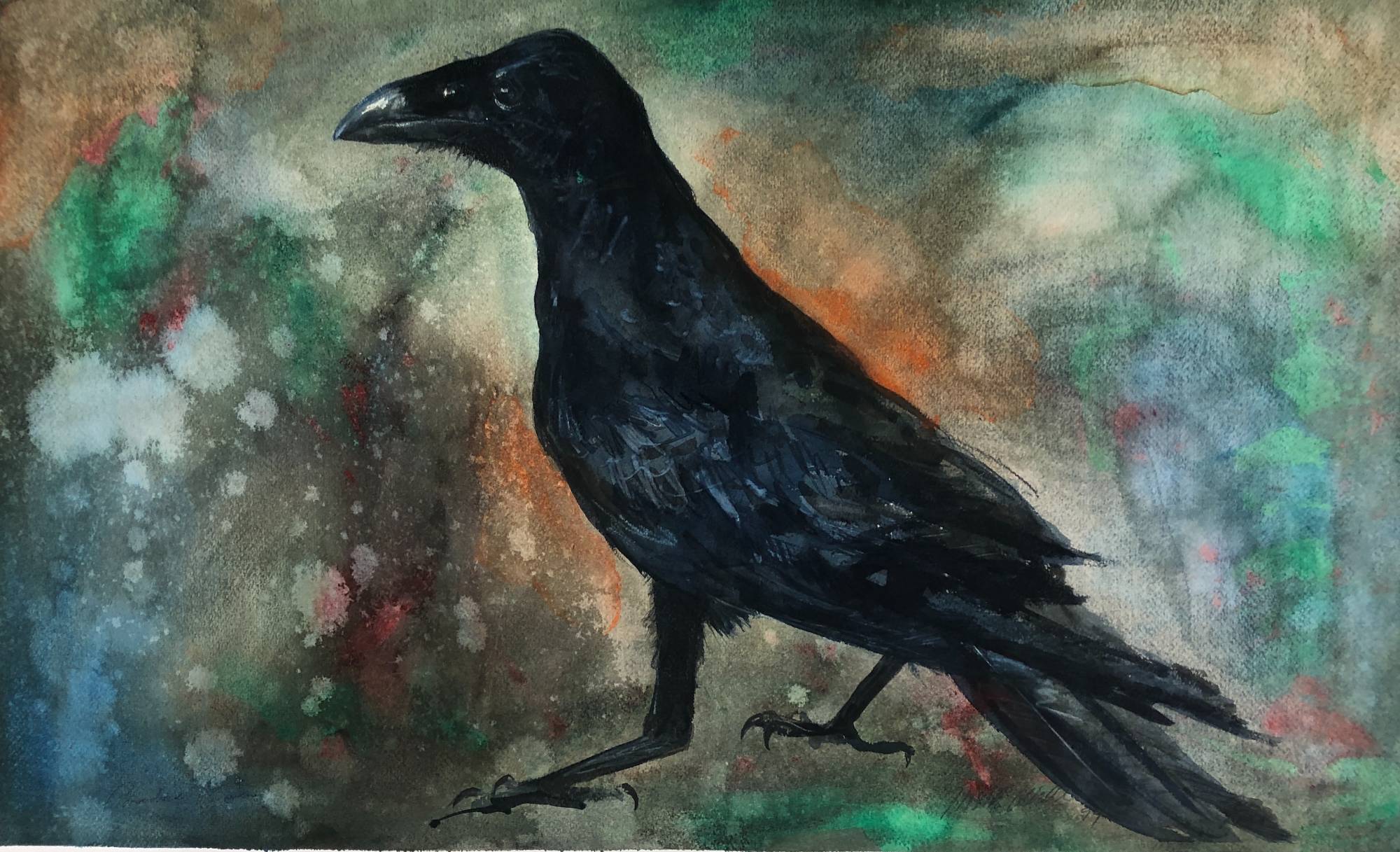 raven on abstract background